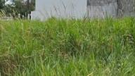 Terreno à venda em Eunápolis - Bahia - 3/3
